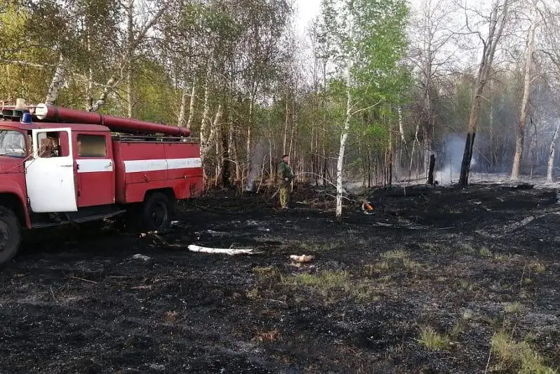 Qostanaı oblysynda buzylyp qalǵan KamAZ-dyń kesirinen orman órti tutandy