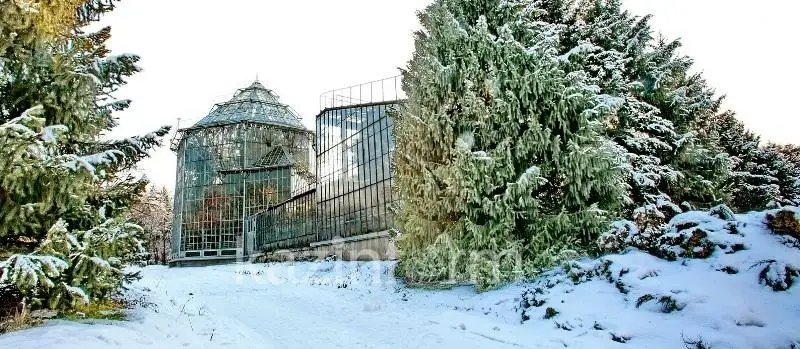 Almatynyń botanıkalyq baǵy ákimdik qaramaǵyna berile me – komıtet jaýaby