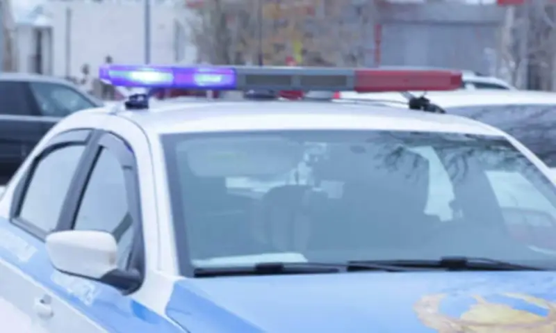 Taraz polıtseıleri men dárigerler dáriden ýlanǵan búldirshinniń ómirin qutqardy
