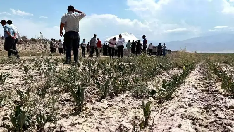 Засуха в Казахстане