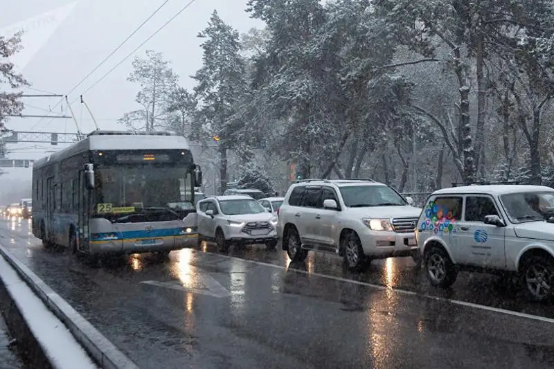 Saǵyntaev BRT jáne LRT jelileriniń qurylysy týraly aıtty