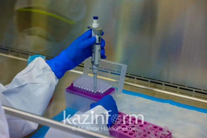 Almatyda koronavırýstyń jańa shtamy bar-joǵy tekseriledi
