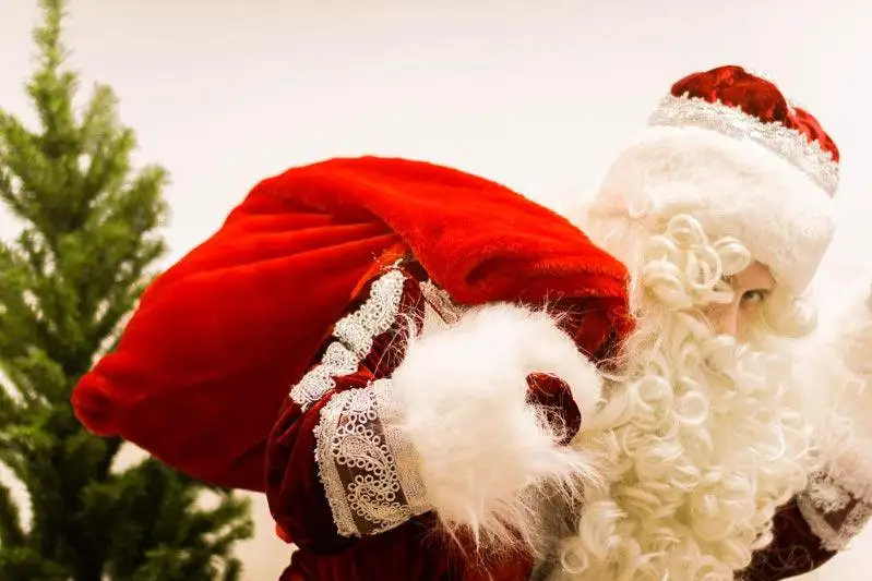 Возрастает риск переноса инфекции - Минздрав о вызове на дом Деда Мороза и Снегурочки