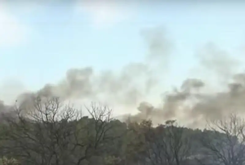 Эвакуировали 450 жителей испанского острова из-за лесных пожаров