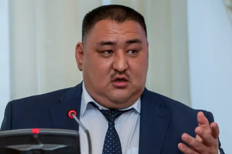 Daýylbaev: Otandyq jáne halyqaralyq baıqaýshylardyń mindettemeleri kóp jaǵynan uqsas