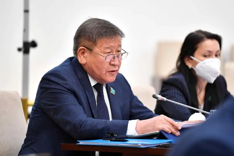 Senatta shaǵyn qalalardaǵy jas mamandardy qoldaý máselesi kóterildi