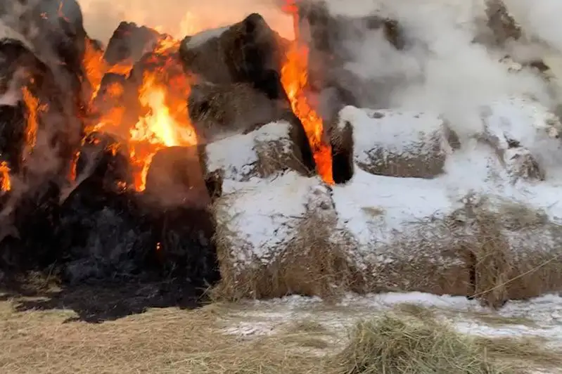 Ақмолада 200 тоннадан астам шөпті өртеп кеткен күдіктілер іздестіріліп жатыр