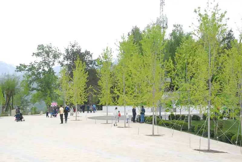 Кок Тобе