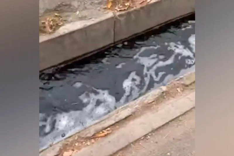 Almaty turǵyndary aryq sýynyń jaǵymsyz ıisine shaǵymdandy