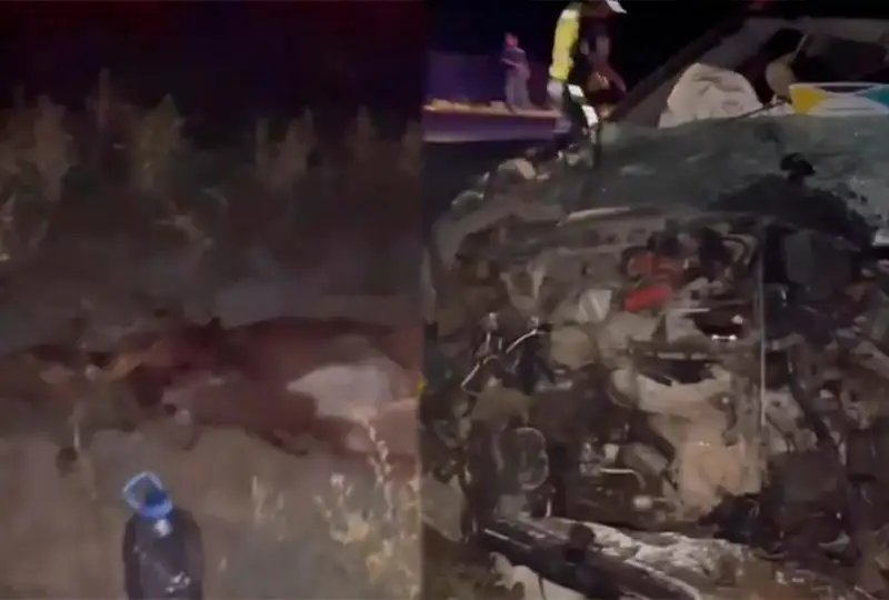 Водитель авто погиб после столкновения с коровой в Атырауской области