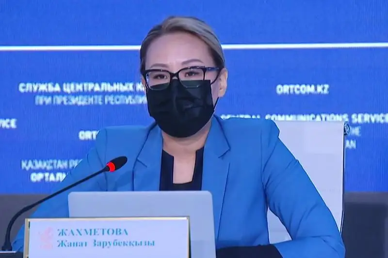 Onlaın aýktsıondar jerge menshik quqyǵyn bere almaıdy – Energetıka vıtse-mınıstri
