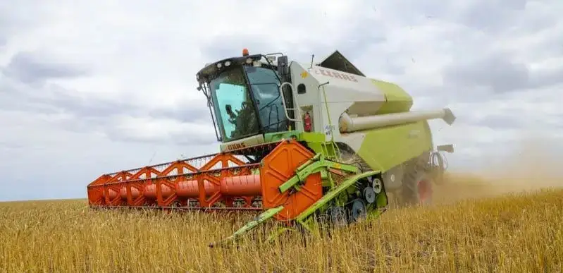 Мухтар Холдорбеков/ МИА «Казинформ»