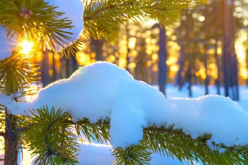 Какая геомагнитная обстановка ждет жителей Земли в новогодние праздники