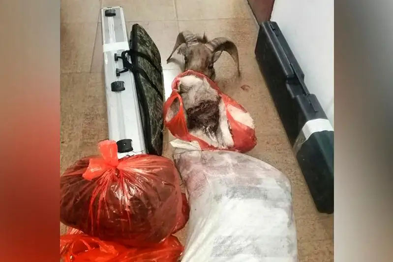 Jambyl oblysynda brakonerler Qyzyl kitapqa engen arqardy aýlaǵan