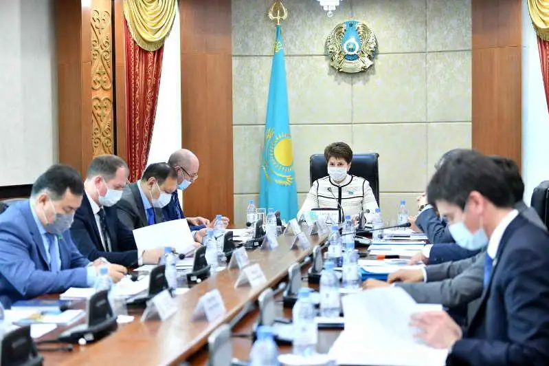 Senatorlar zeınetaqy jınaqtarynyń bir bóligin paıdalaný sharttaryn talqylady
