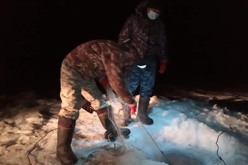 ShQO polıtseıleri 5 tonnadan astam zańsyz aýlanǵan balyqty tárkiledi