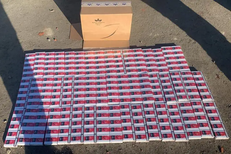 Reseıge 60 myń elektrondy temeki tutatqyshyn apara jatqan azamat ustaldy