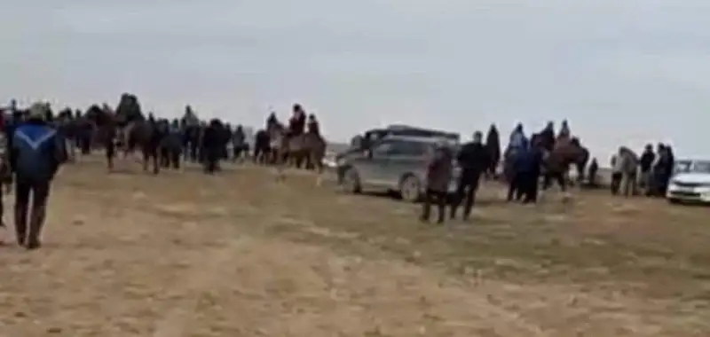 Túrkistan oblysynda kókpar uıymdastyrýshylarǵa tosqaýyl bolmaı tur