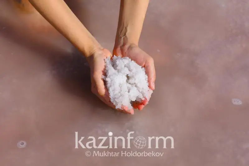 Көбейтұз көлінің тұзын сатқандар анықталды – ҚР ІІМ