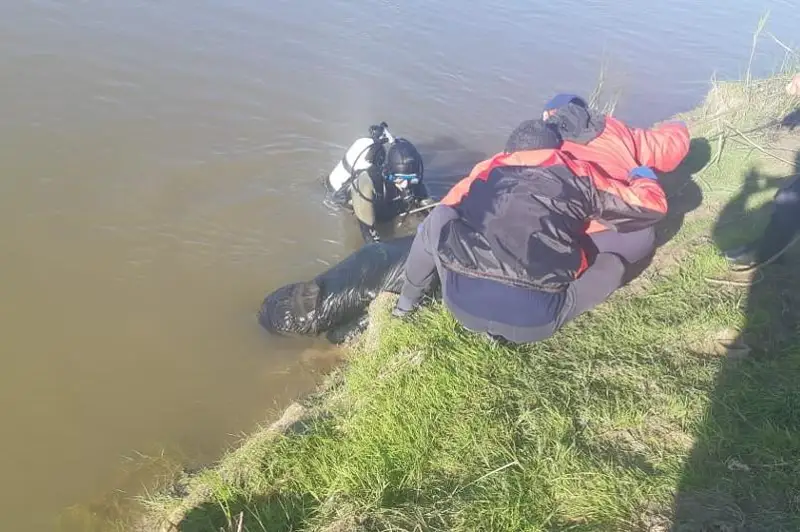 Boıjetkendi qutqarmaq bolǵan 29 jastaǵy jigittiń ózi sýǵa batyp ketti