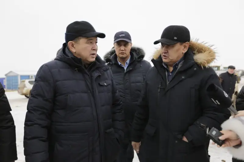 Týyndaǵan problemalar bir nusqaýmen ǵana sheshilmeıdi - Mahambet Dosmuhambetov