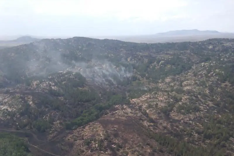 Пожар в нацпарке в Каркарлинске удалось локализовать