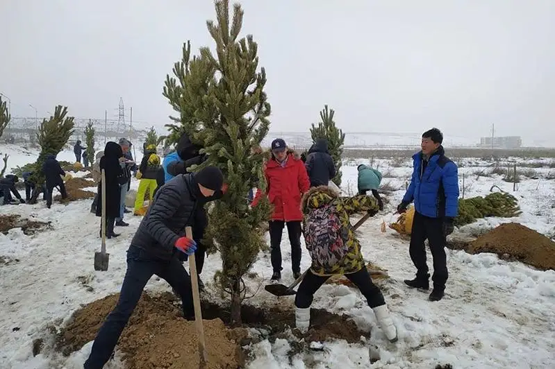 Алматыда JasylAlmaty акциясы аясында 300 мыңнан астам ағаш отырғызылады