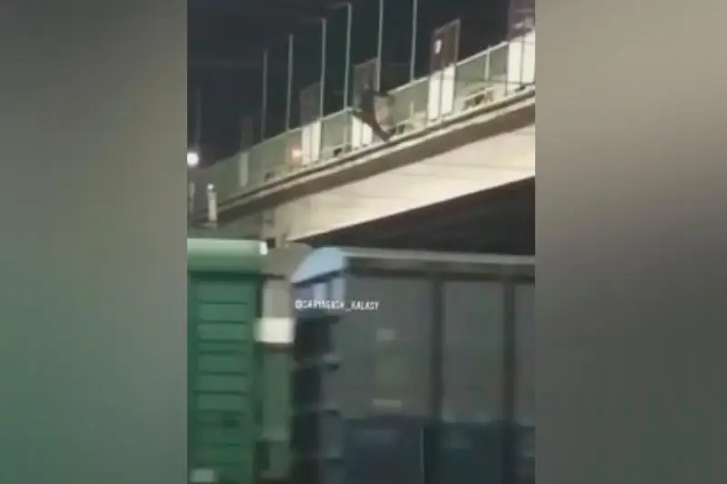 Saryaǵashta HQO qyzmetkeri kópirden sekirmek bolǵan jigitti ólimnen qutqardy