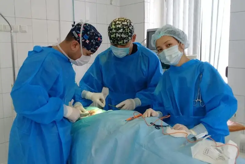 Almatyda dárigerleri qalqansha bezi isigine kúrdeli operatsııa jasady