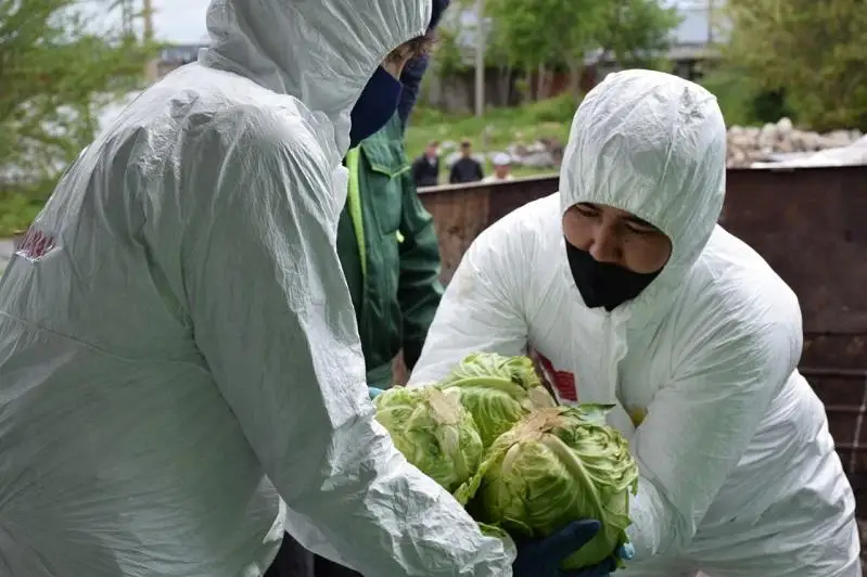 Birgemiz: Túrkistan oblysy Qostanaıǵa 18 tonna qyryqqabat jetkizdi