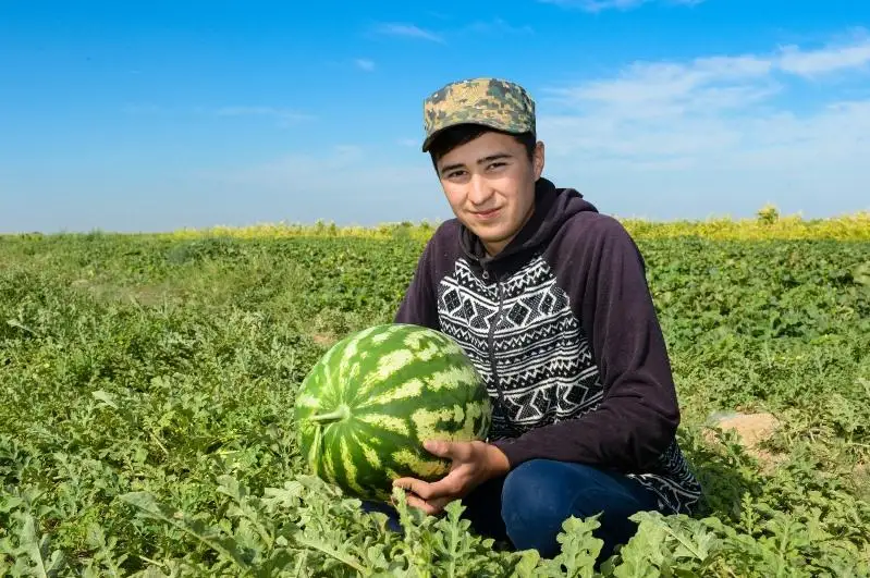 Syr óńirinde agroónerkásip keshen ónimderi álemniń 19 eline eksporttalady