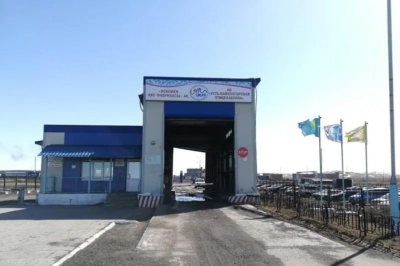 Eshkim jumystan qysqarmaıdy, baǵa qymbattamaıdy – Óskemendegi qus fabrıkasy