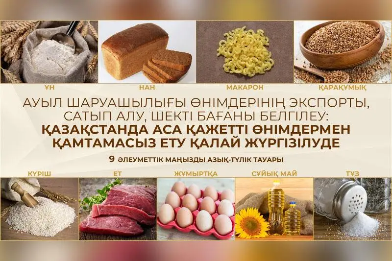 Agroónimderdiń eksporty, shekti baǵa: Qazaqstanda azyq-túlikpen qamtý qalaı júrgizilýde