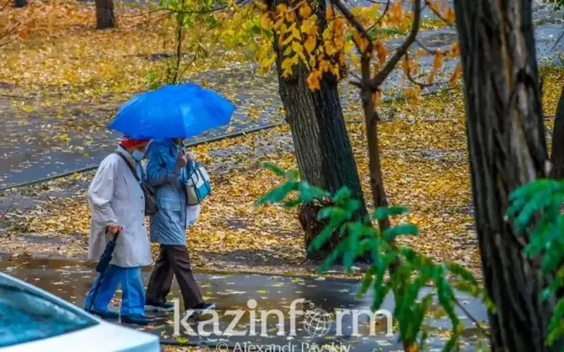 Autumn 