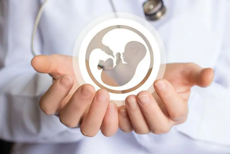 Shyǵys Qazaqstanda bıyl EKO-ǵa 500 kvota bólindi