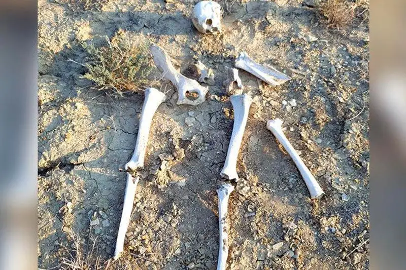 Qaraqııada tabylǵan adam qańqasy saraptamaǵa jiberildi