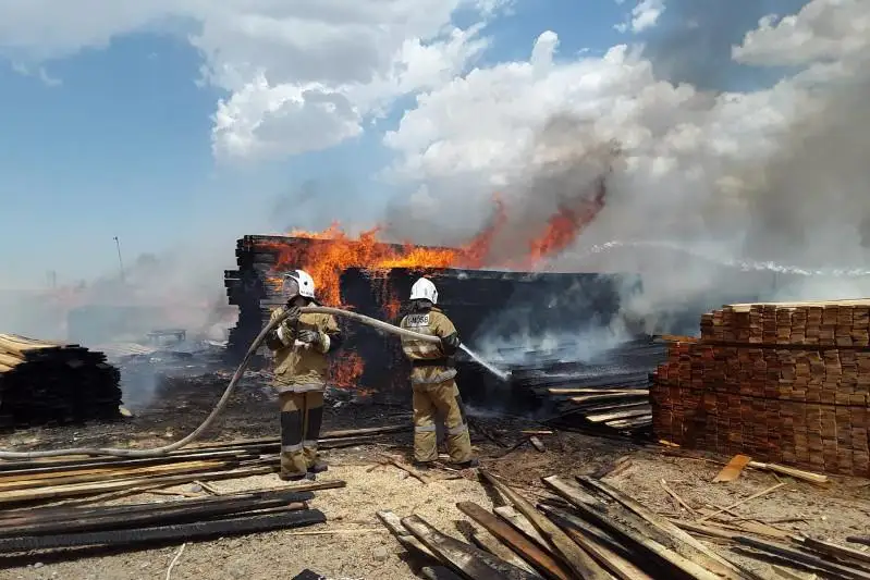 Shymkentte aǵash satatyn bazar órtendi