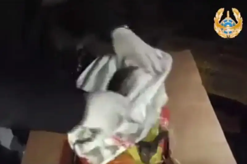 ShQO polıtseıleri iri kólemde esirtki tárkiledi
