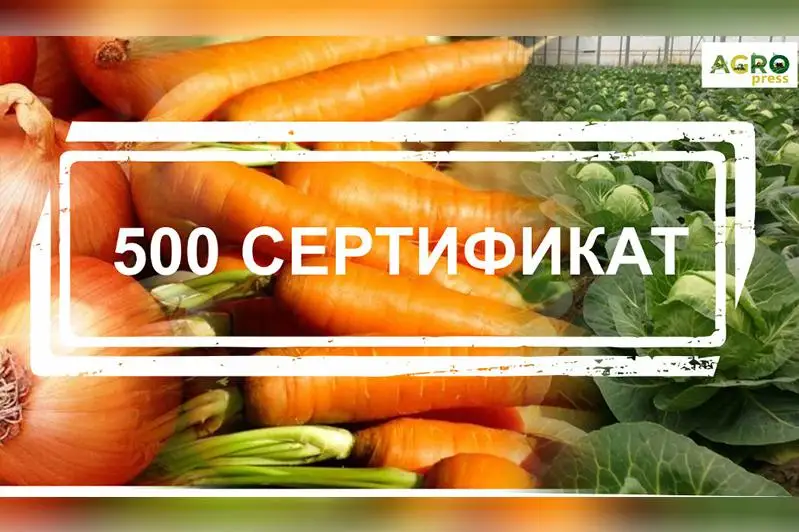 QR AShM sáýir aıynda sábiz, pııaz, oramjapyraq eksportyna 500 sertıfıkat bóldi