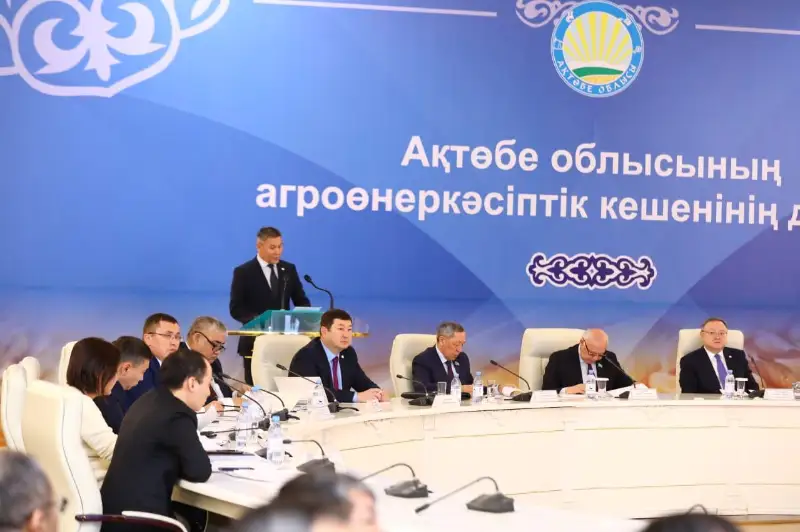 Aqtóbelik sharýalar Parlament depýtattaryna saladaǵy problemalardy aıtty