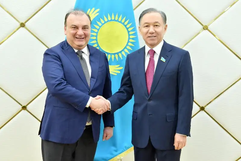 Nurlan Nyǵmatýlın Eýropalyq Parlament delegatsııasyn qabyldady