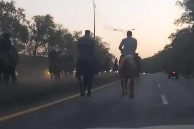 Almaty oblysynda jol ústinde kókpar tartqan 8 adam jazalandy