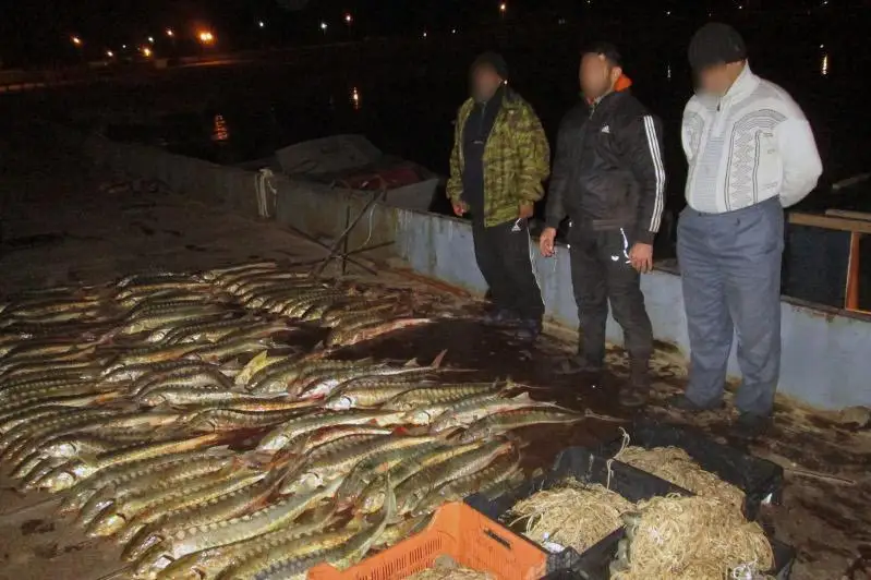 1 mlrd teńge zalal: Kaspıı teńizinde brakonerler ustaldy