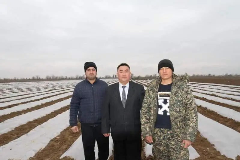 Túrkistan oblysynyń dıqanshylary qyryqqabat egýdi bastady