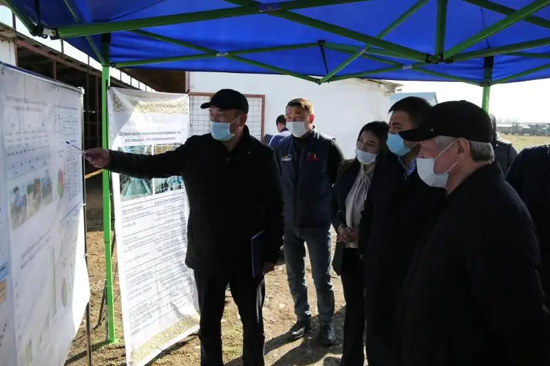Saparbaev jambyldyq kásiporynǵa jumysshylardyń jalaqy bereshegin tóleýdi tapsyrdy