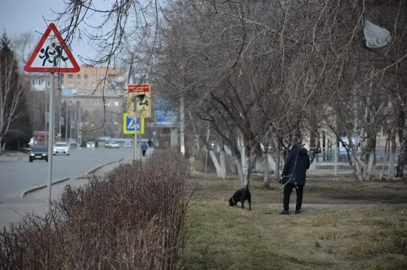 Петропавлда итін жоғары қабаттан лақтырып өлтірген әйел айыппұл төлейтін болды