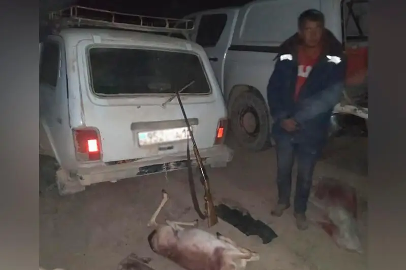 Qyzylordada qaraquıryq atyp alǵan brakonerler ustaldy
