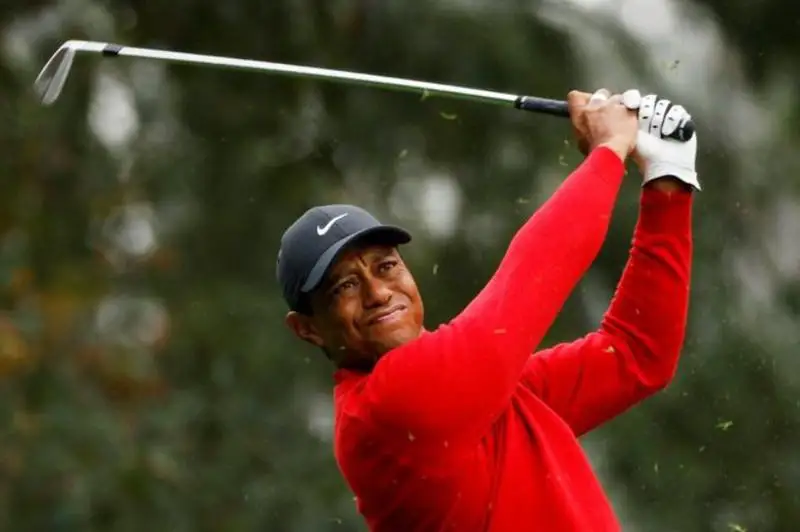 Tanymal golfshi Taıger Výds jol apatyna ushyrady