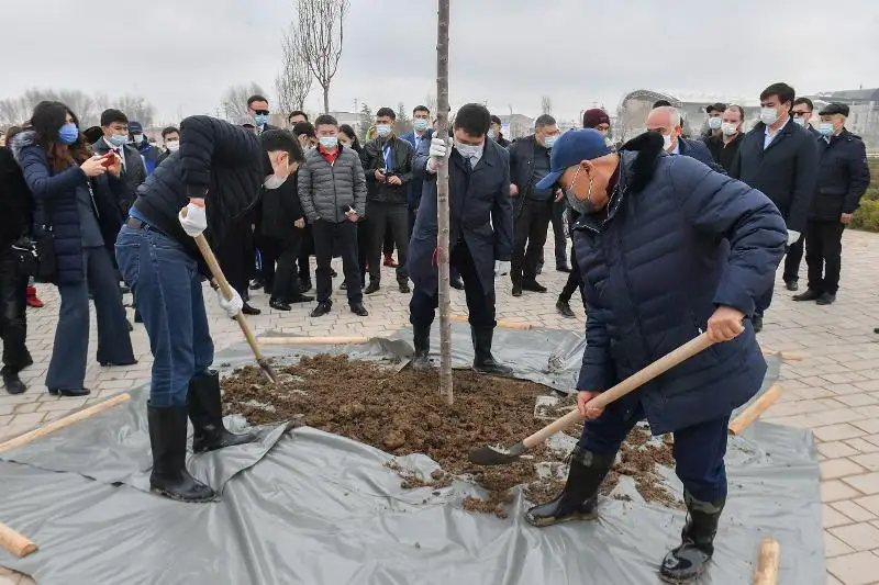 Túrkistildes BAQ ókilderi ıAsaýı kesenesiniń aınalasyn kógaldandyrýǵa úles qosty
