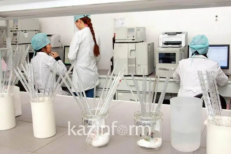 2020 jyldan medıtsına túlekterin aımaqtarǵa bólý avtomattandyrylady
